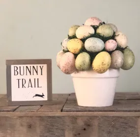 Bunny Trail