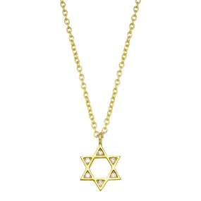 Dainty Star of David Necklace