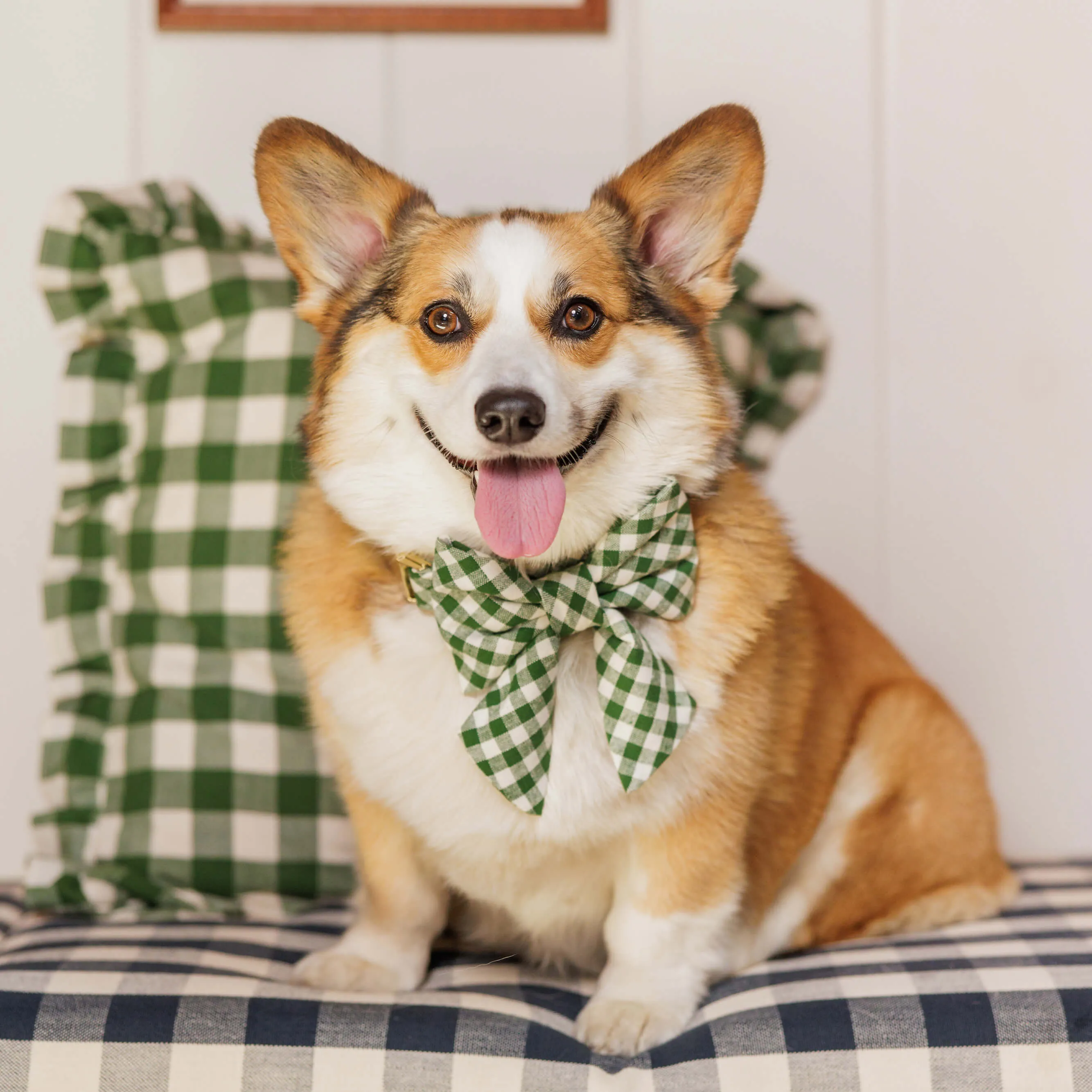 Heather Taylor Home x TFD Mini Gingham Hunter Green Lady Dog Bow